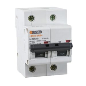 Günsan Valta Otomatik Sigorta 2P 10kA C Tip 100A İki kutuplu