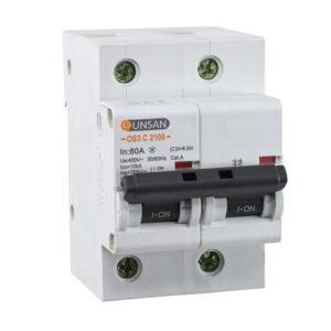 Günsan Valta Otomatik Sigorta 2P 10kA C Tip 80A İki kutuplu