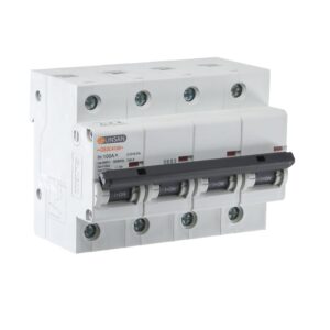 Günsan Valta Otomatik Sigorta 4P 10kA C Tip 100A Dört Kutuplu