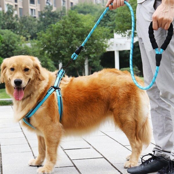 Reflektörlü Fosforlu Köpek Gezdirme Halatı Tasma Kayışı Metal Kancalı 130 cm (K0) - Görsel 2