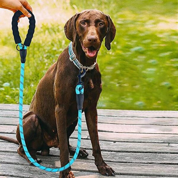 Reflektörlü Fosforlu Köpek Gezdirme Halatı Tasma Kayışı Metal Kancalı 130 cm (K0) - Görsel 3