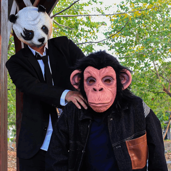 Siyah Saçlı Kafaya Tam Geçmeli Lateks Şempanze Maskesi - Lateks Maymun Orangutan Goril Maske Et Maske - Görsel 5