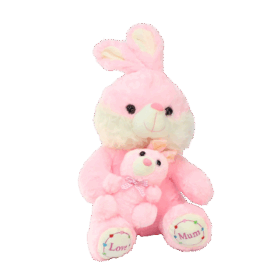 Tavşan Peluş Oyuncak 35 cm